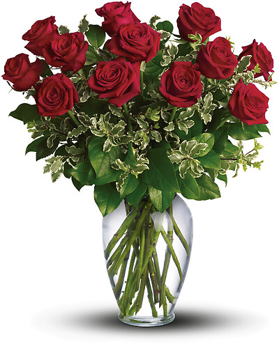 La Vie En Rose - Long Stemmed Red Roses