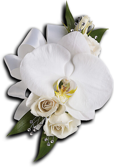 White Orchid and Rose Corsage